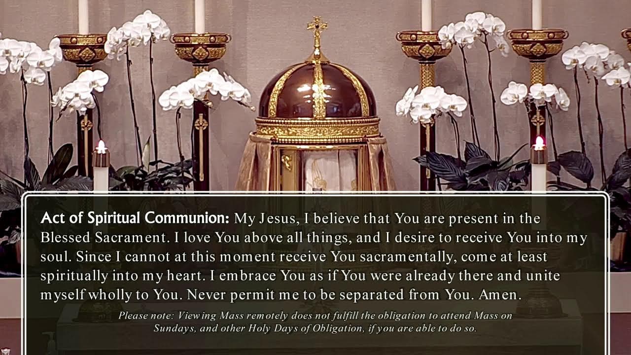 Wednesday Mass: Memorial of the Dedication of the Basilica of Saint Mary Major in Rome