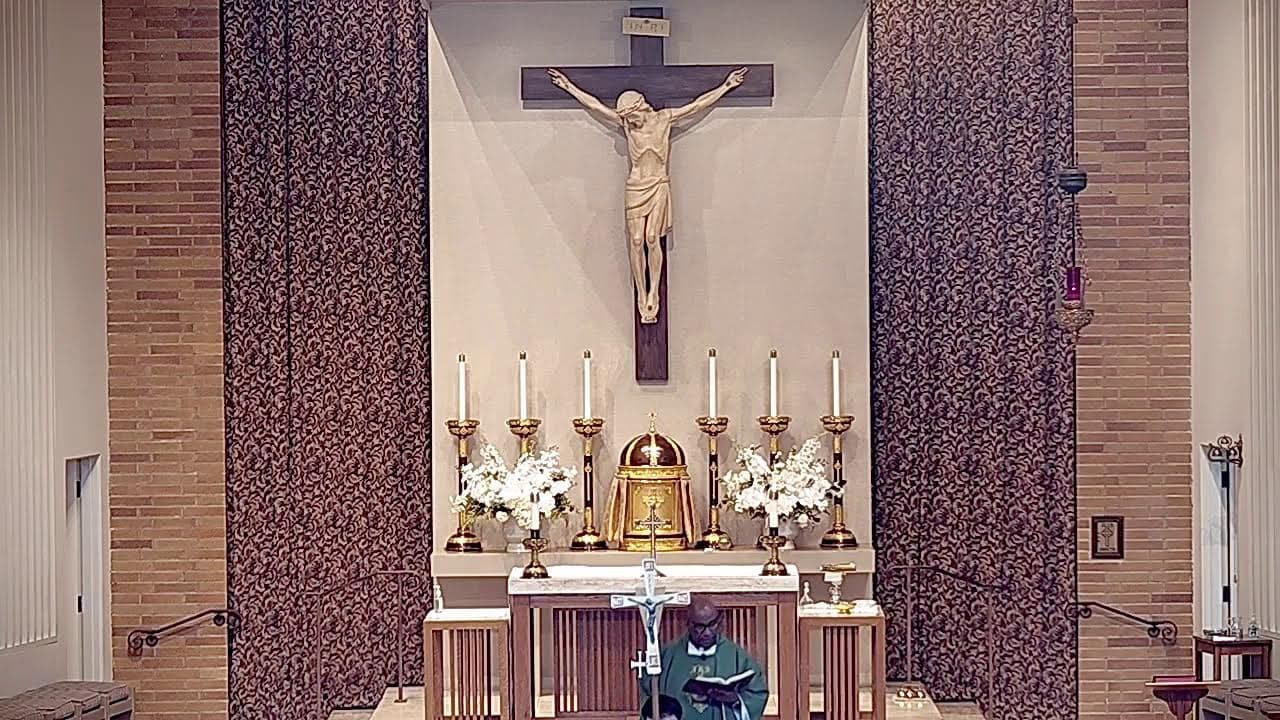 Tuesday Mass: Tuesday of the Eleventh Week in Ordinary Time