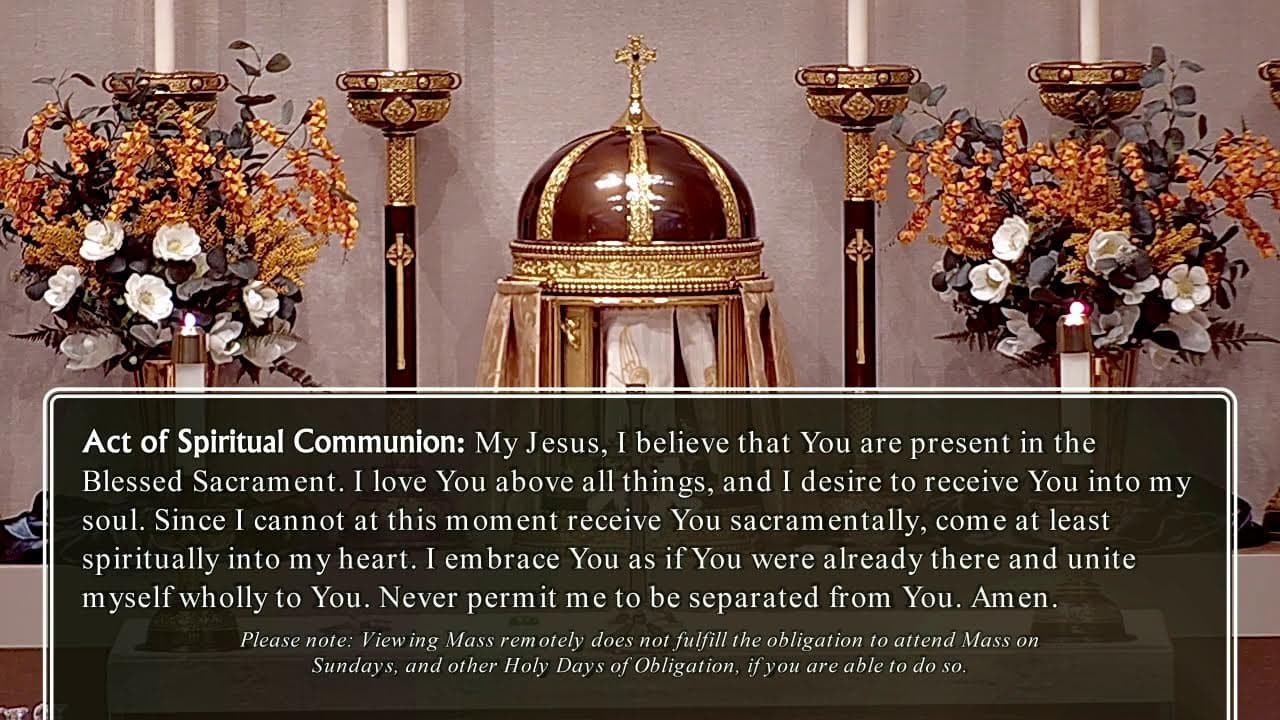 Wednesday Mass: Memorial of Saint Callistus I