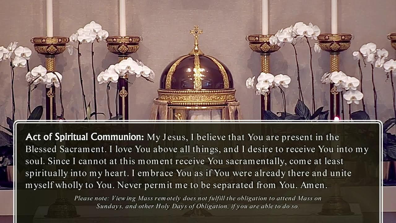 Wednesday Mass: Memorial of Saint John Eudes