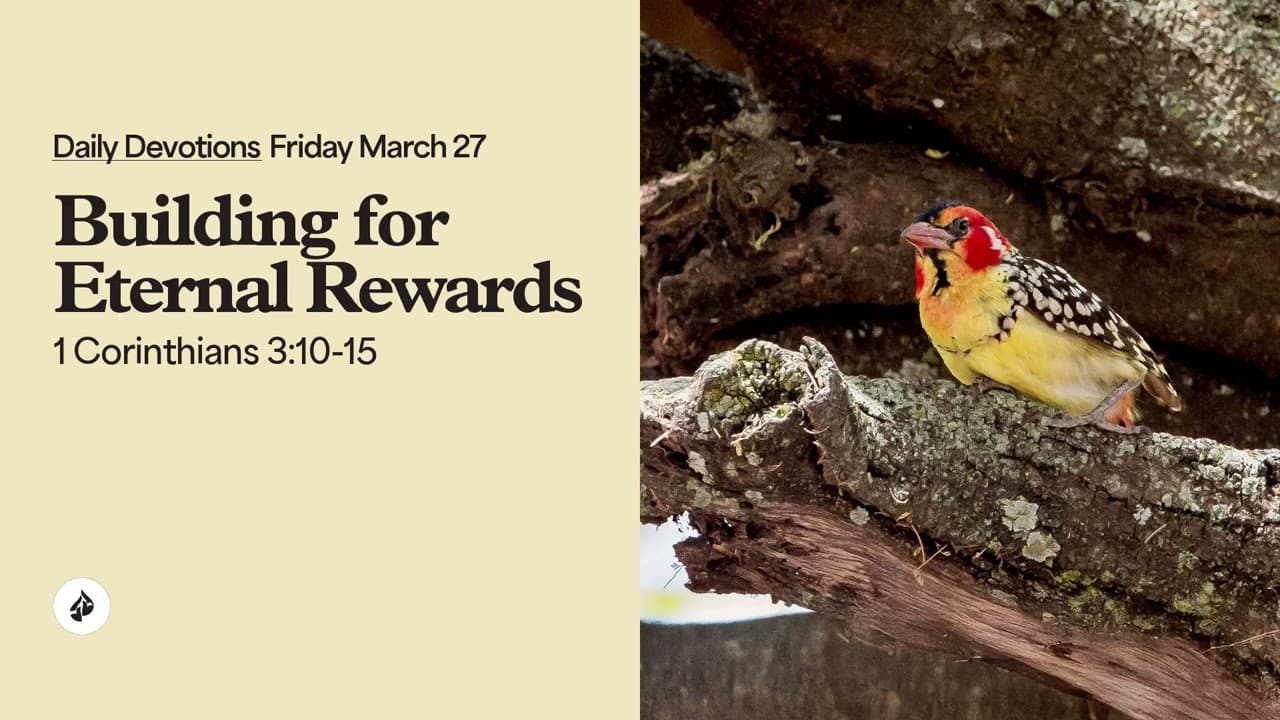 Building for Eternal Rewards – Daily Devotional