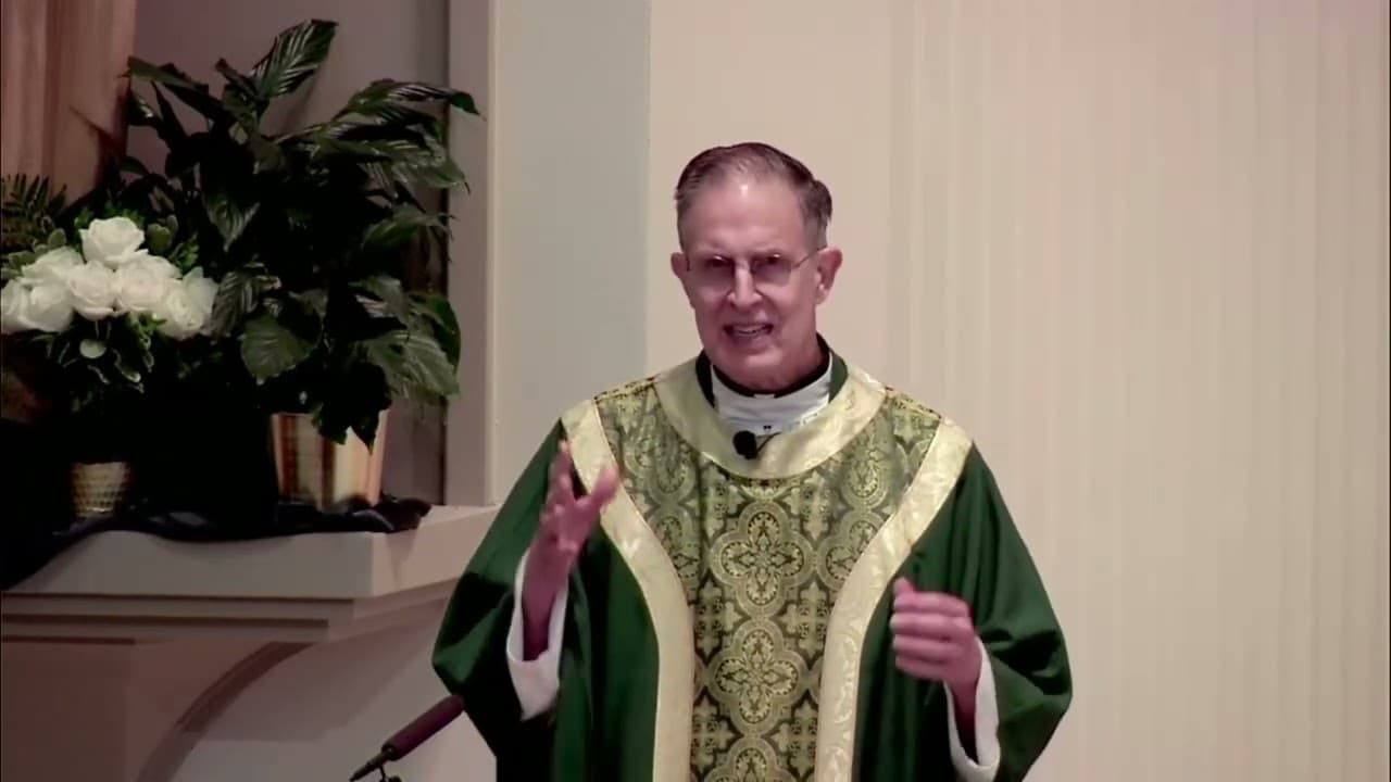 Sunday Homily - Twenty-fourth Sunday in Ordinary Time - September 13 2026