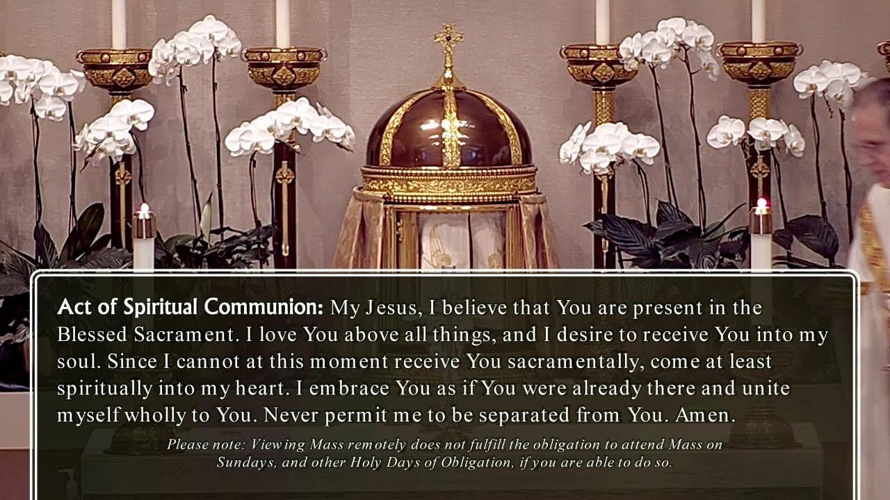 Thursday Mass: Feast of the Transfiguration of the Lord