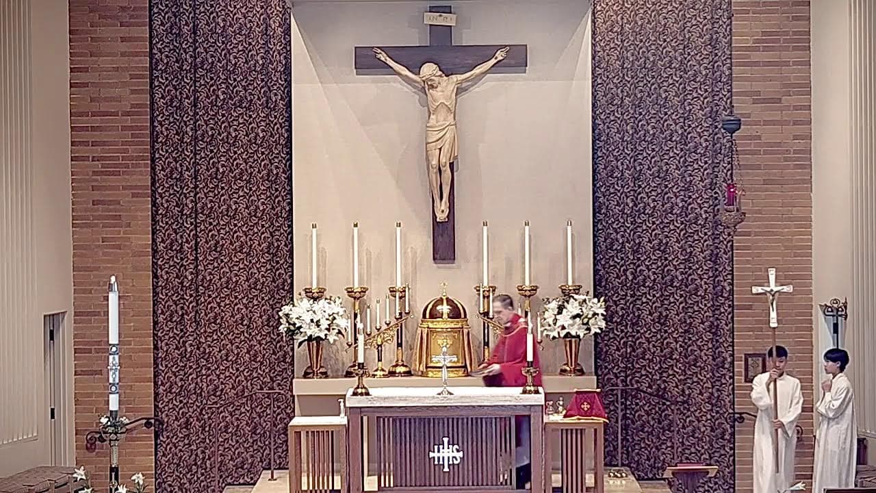 Saturday Mass: Feast of Saint Mark