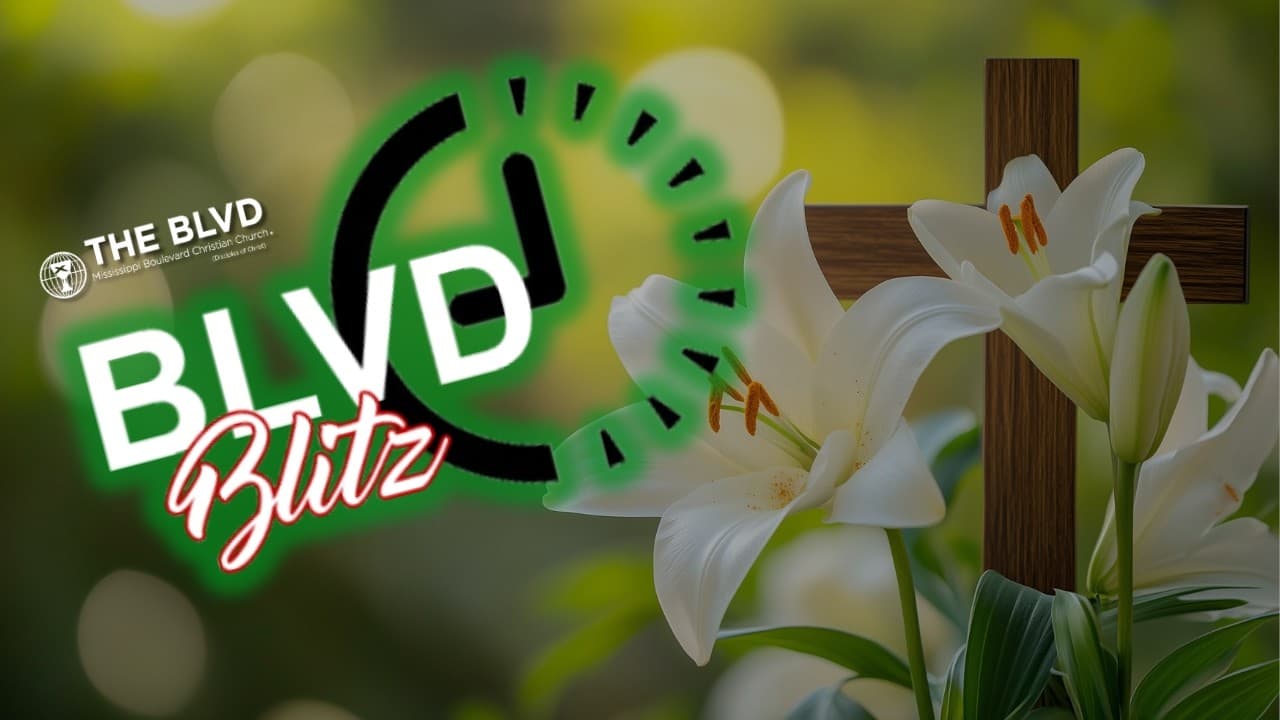 THE BLVD BLITZ || 4.5.26