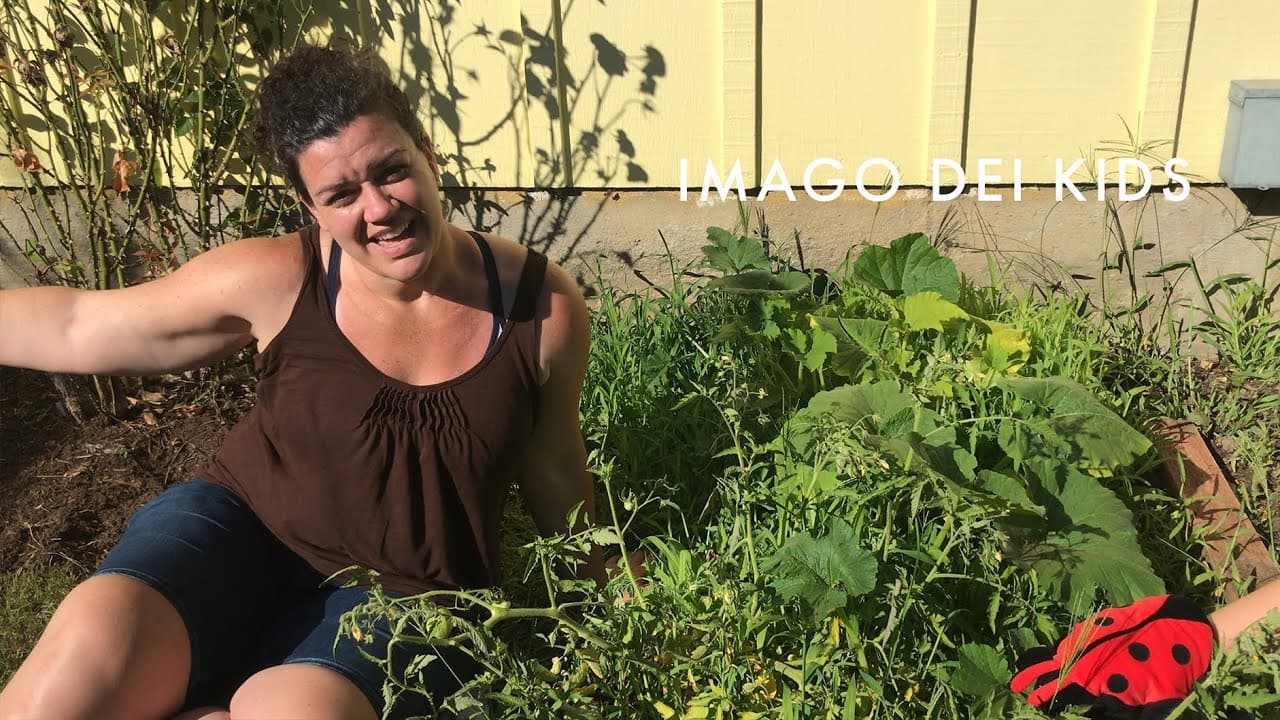 July 26th, 2020 - Imago Dei Kids