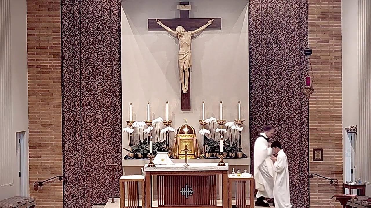Saturday Mass: Memorial of Saint Alphonsus Liguori