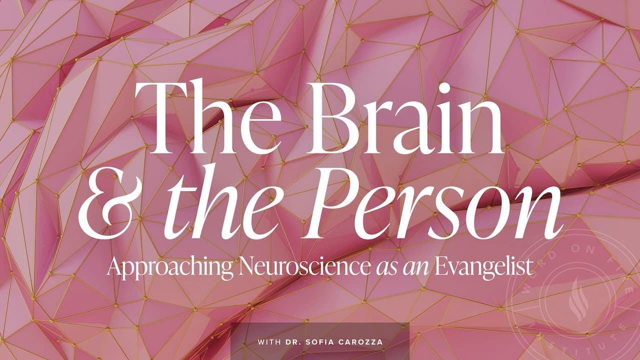 LIVE: Evangelization & Culture Seminar on “Approaching Neuroscience as an Evangelist”