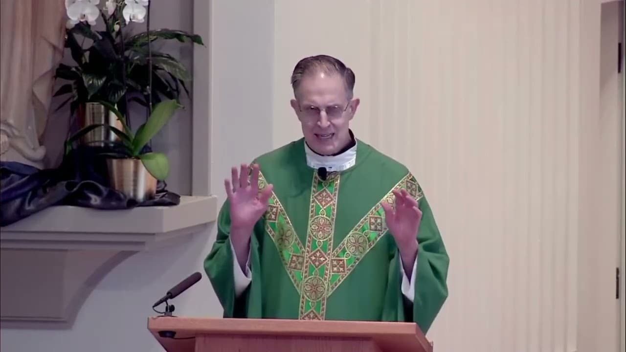 Sunday Homily - Nineteenth Sunday in Ordinary Time - August 9 2026