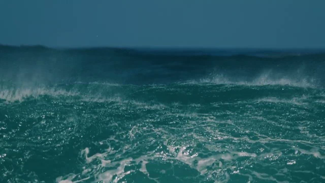 Meditation 14