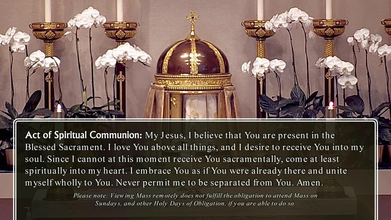 Thursday Mass: Memorial of Saint Bernard