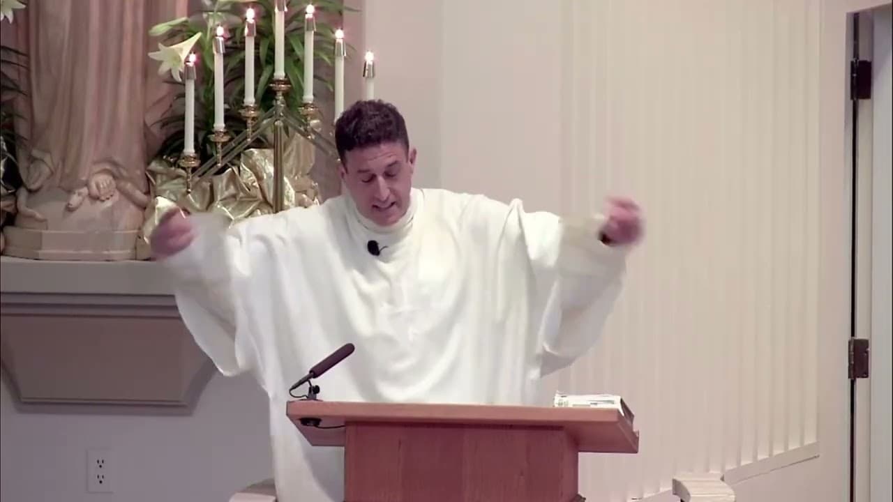 Sunday Homily - Sunday of Divine Mercy - April 12 2026