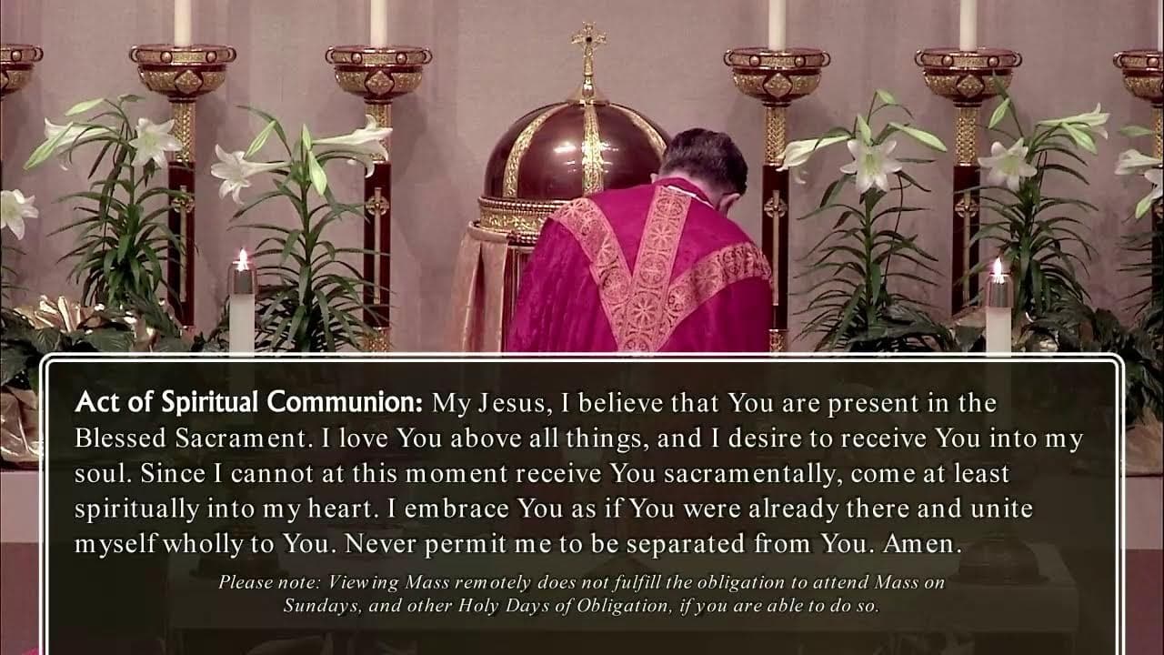 Monday Mass: Memorial of Saint Martin I