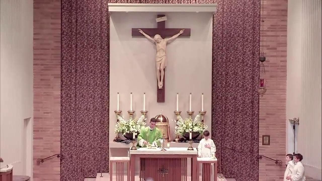 Sunday Mass: Fifth Sunday in Ordinary Time