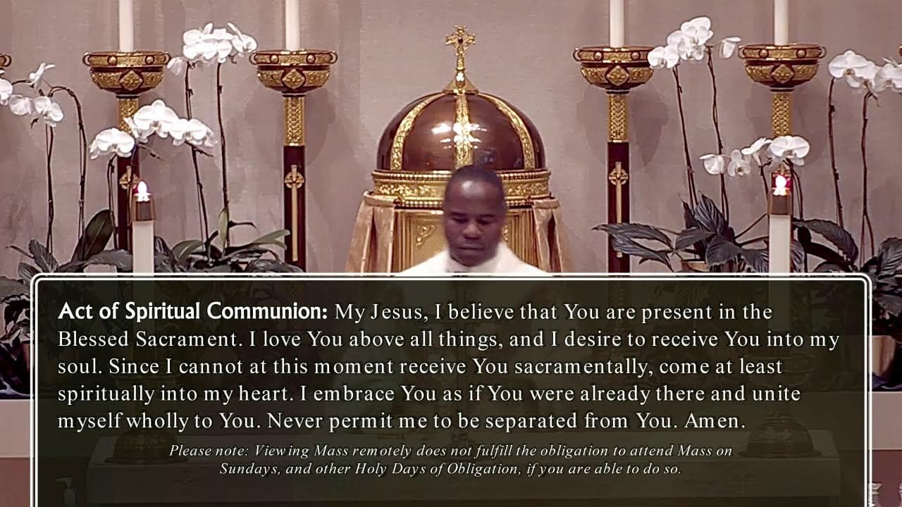 Friday Mass: Memorial of Saint Augustine