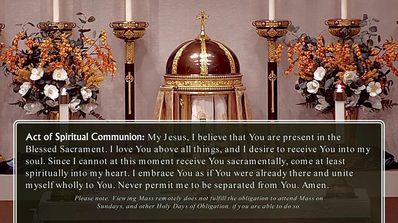 Thursday Mass: Thursday of the Twenty-seventh Week in Ordinary Time