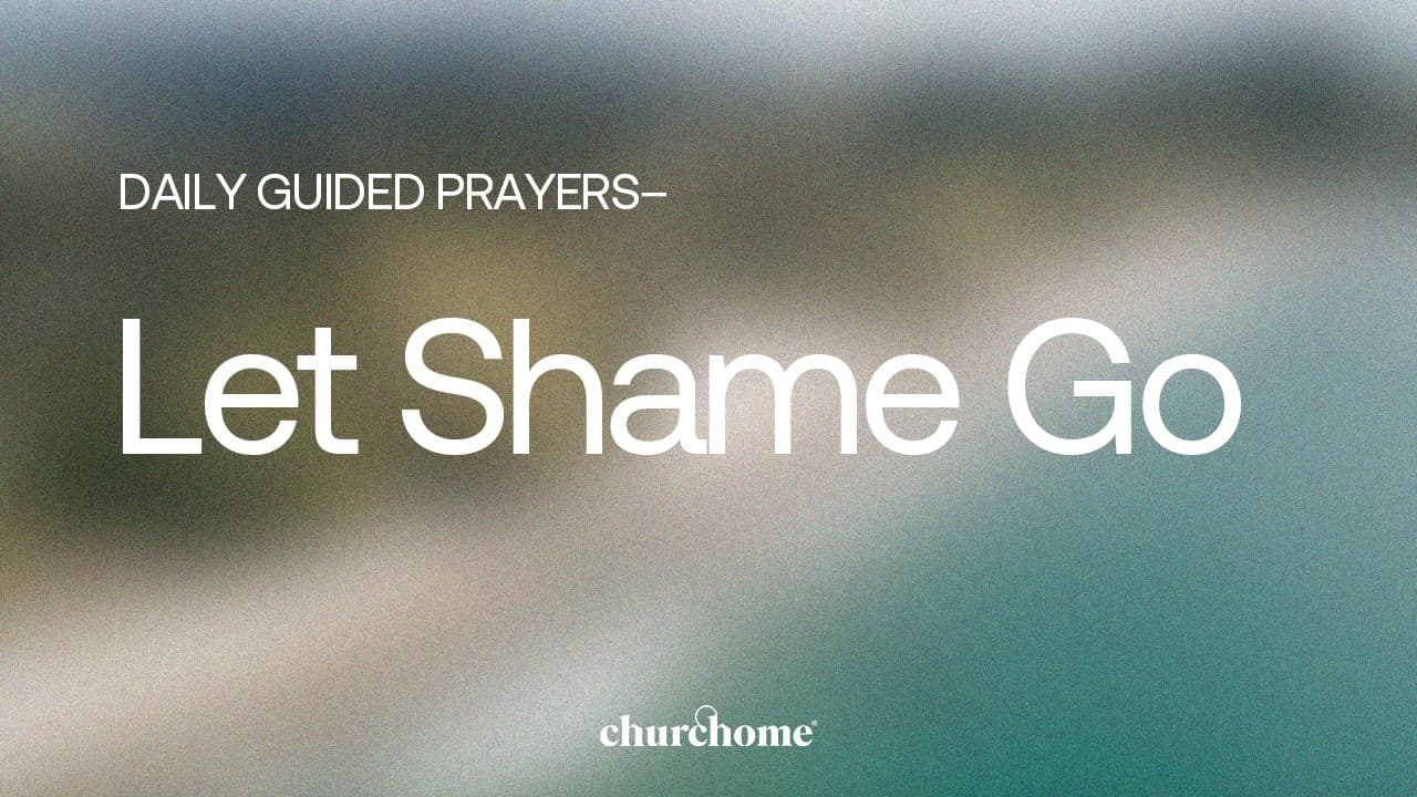 Let Shame Go