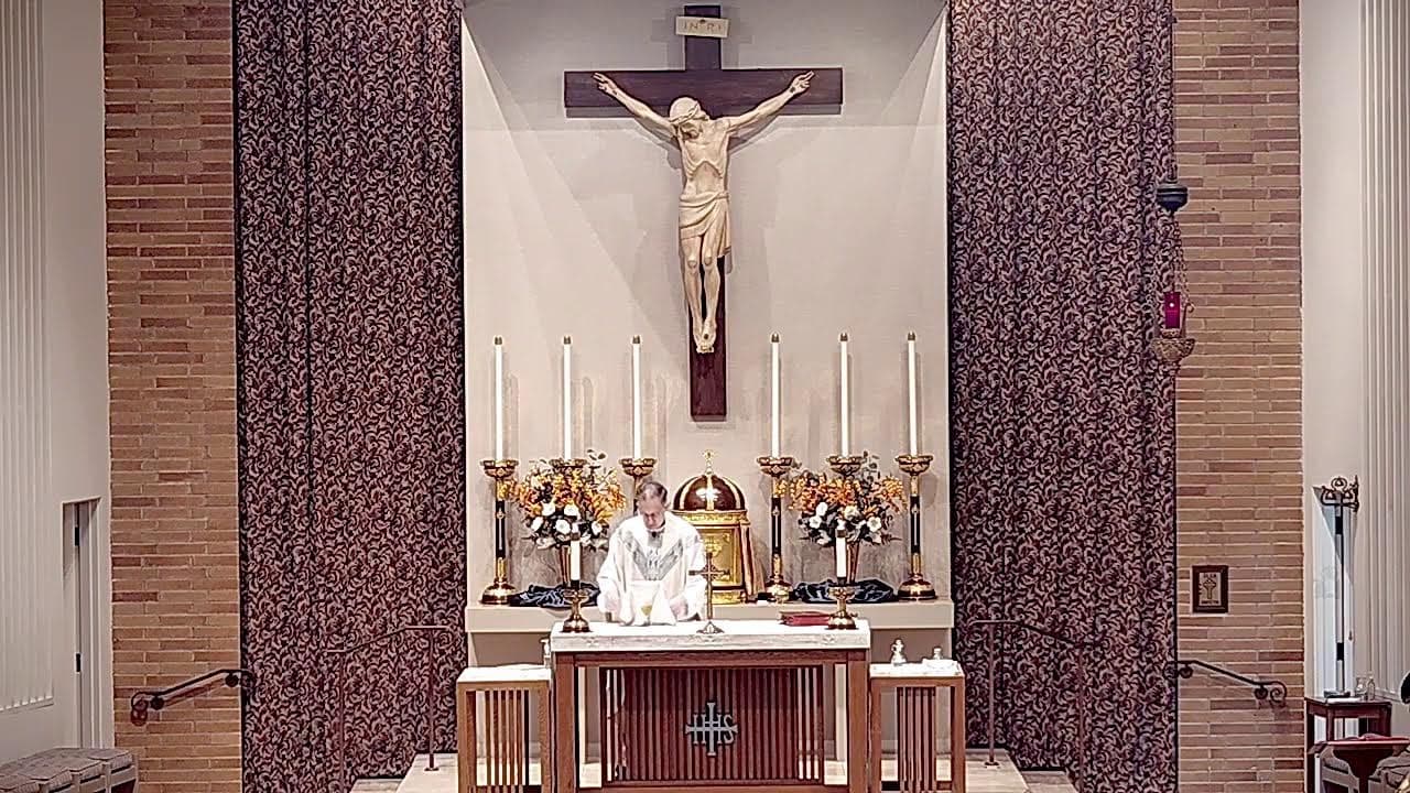 Saturday Mass: Saturday of the Twenty-seventh Week in Ordinary Time