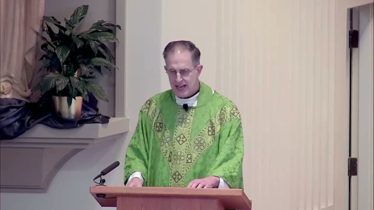 Sunday Homily - Twenty-sixth Sunday in Ordinary Time - September 27 2026