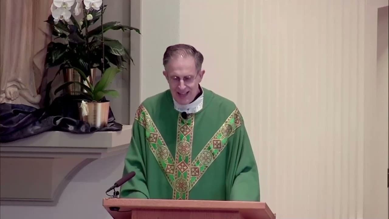 Sunday Homily - Eighteenth Sunday In Ordinary Time - August 2 2026