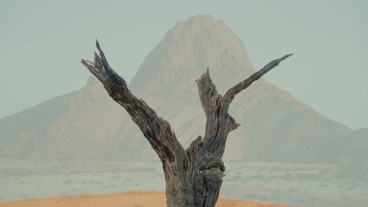 Meditation 7