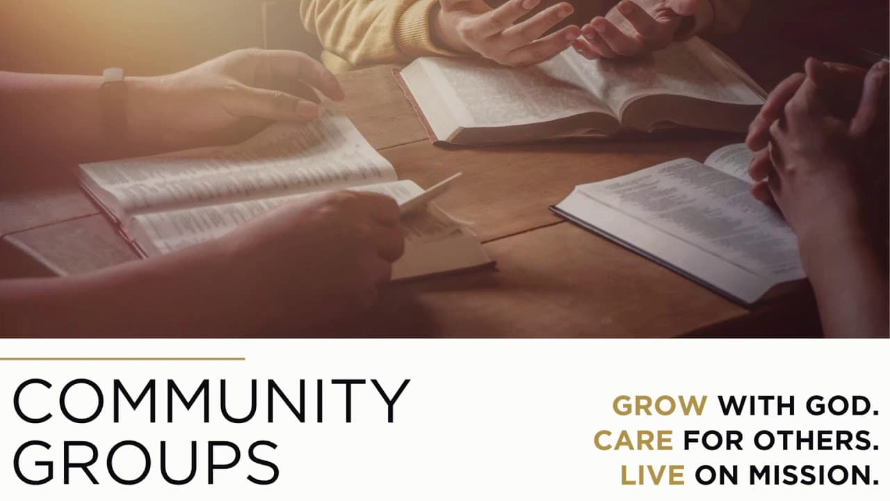 Live Stream | 02.22.26