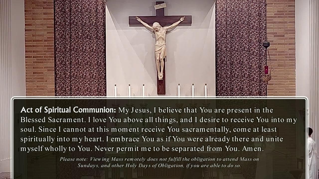 Saturday Mass: Memorial of Saints Perpetua and Felicity