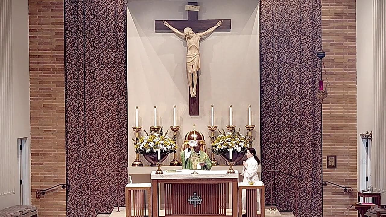 Tuesday Mass: Tuesday of the Tenth Week in Ordinary Time
