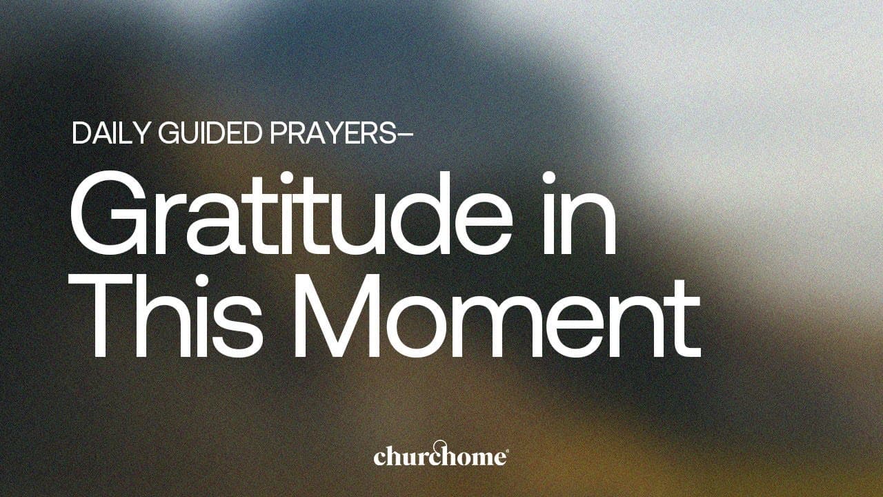 Gratitude in This Moment