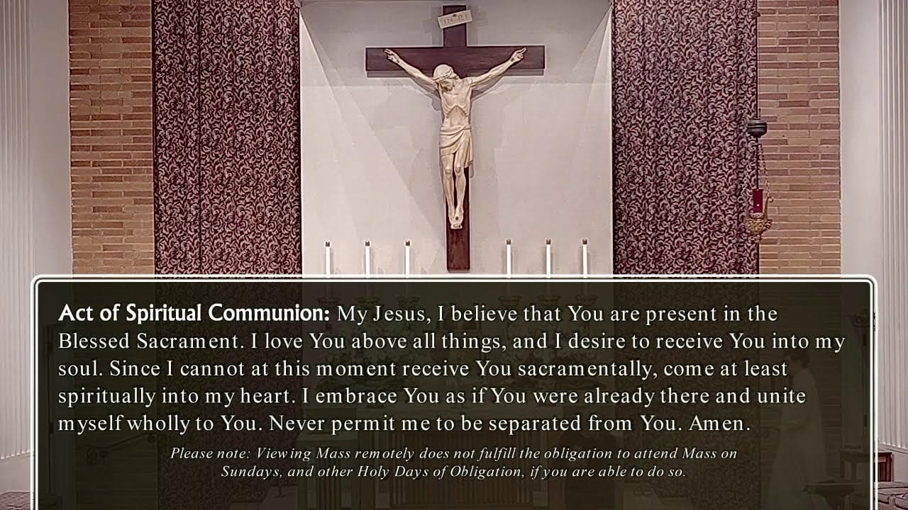 Tuesday Mass: Tuesday of the Sixth Week in Ordinary Time