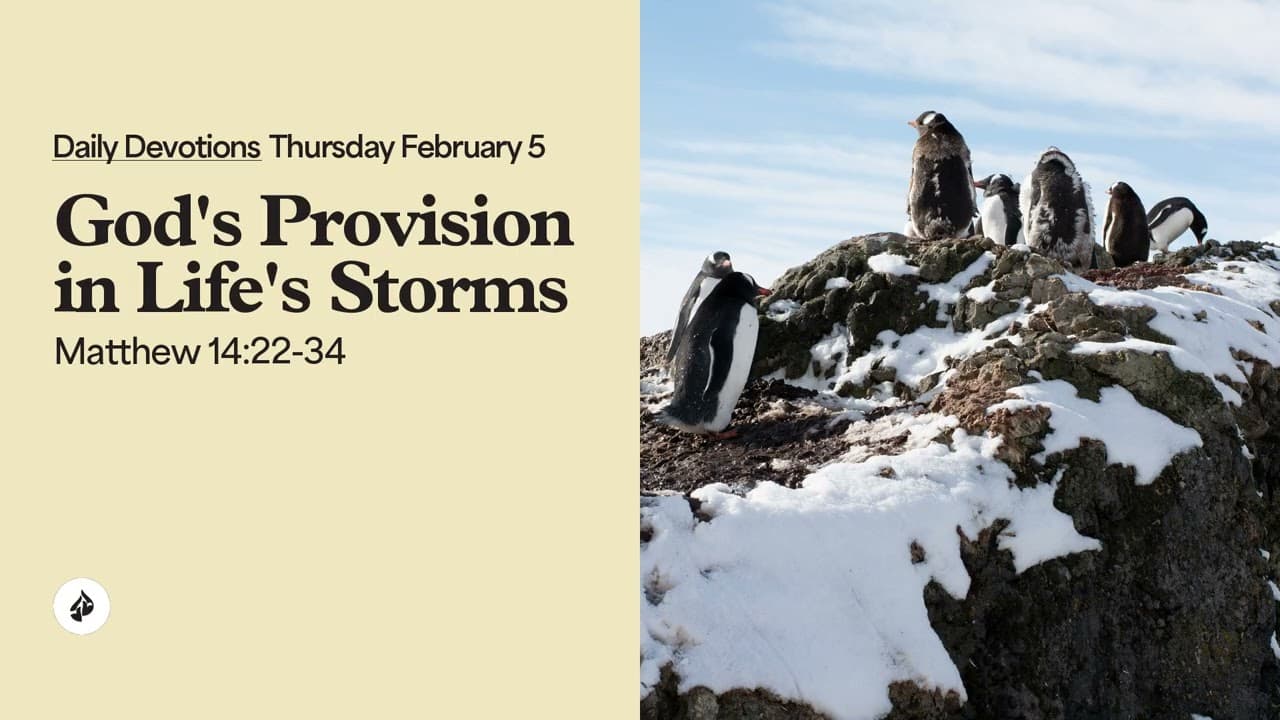 God’s Provision in Life’s Storms – Daily Devotional