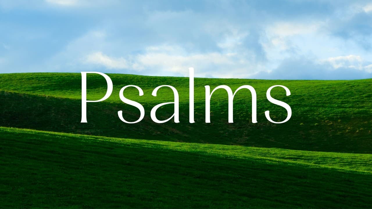 Sunday Evening Worship | Psalm 56