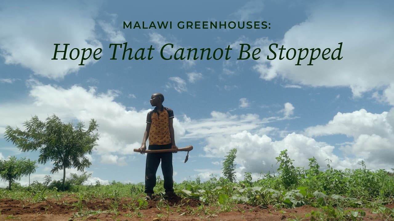 Malawi Greenhouses: Hope That Cannot Be Stopped