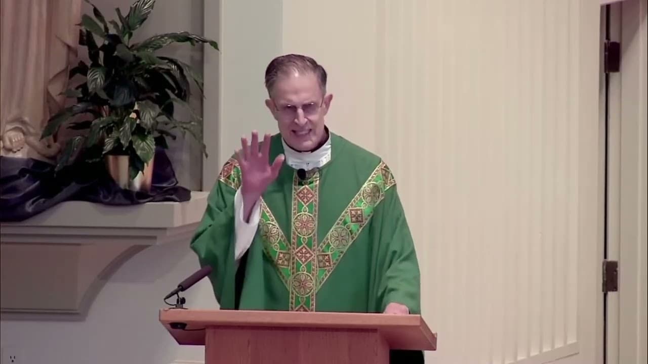 Sunday Homily - Twentieth Sunday in Ordinary Time - August 16 2026