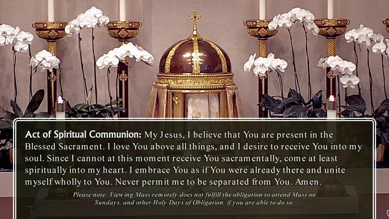 Thursday Mass: Memorial of Saint Pontian and Saint Hippolytus
