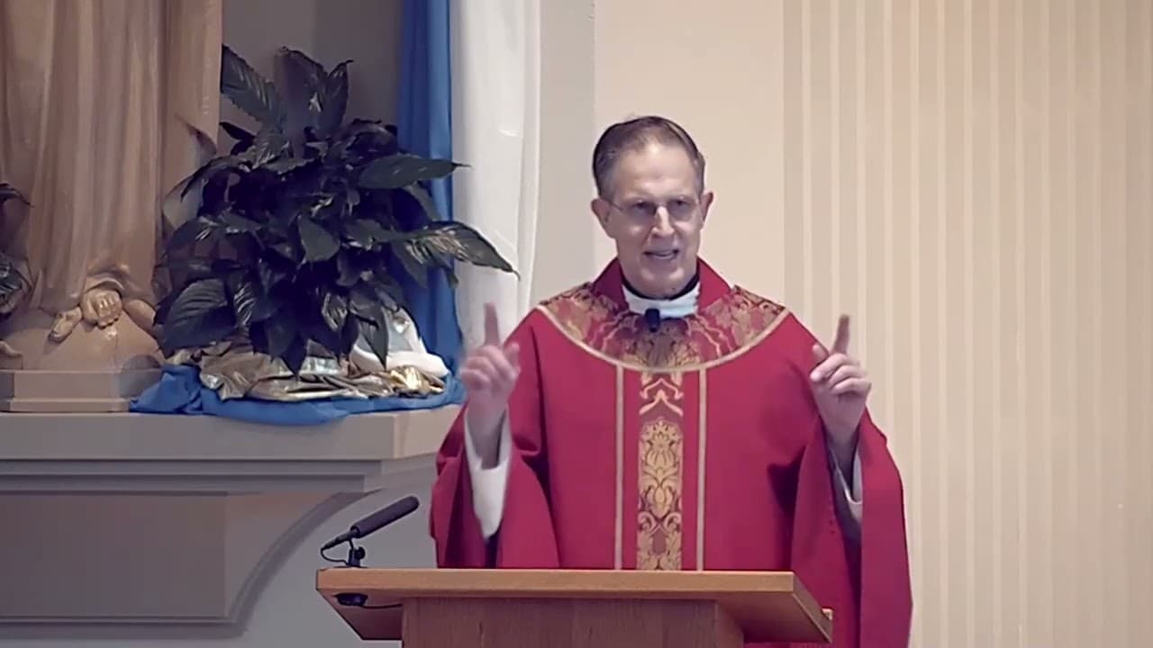 Sunday Homily - Pentecost Sunday - May 24 2026