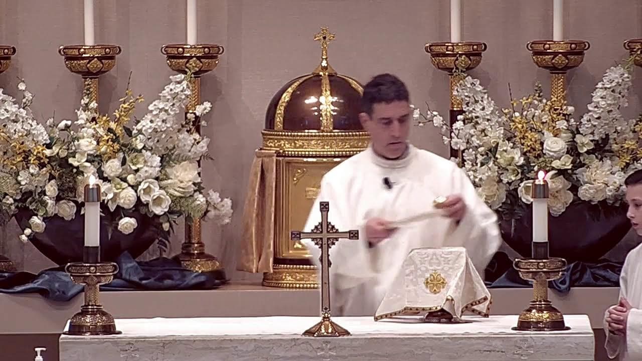 Wednesday Mass: Memorial of Our Lady of Lourdes