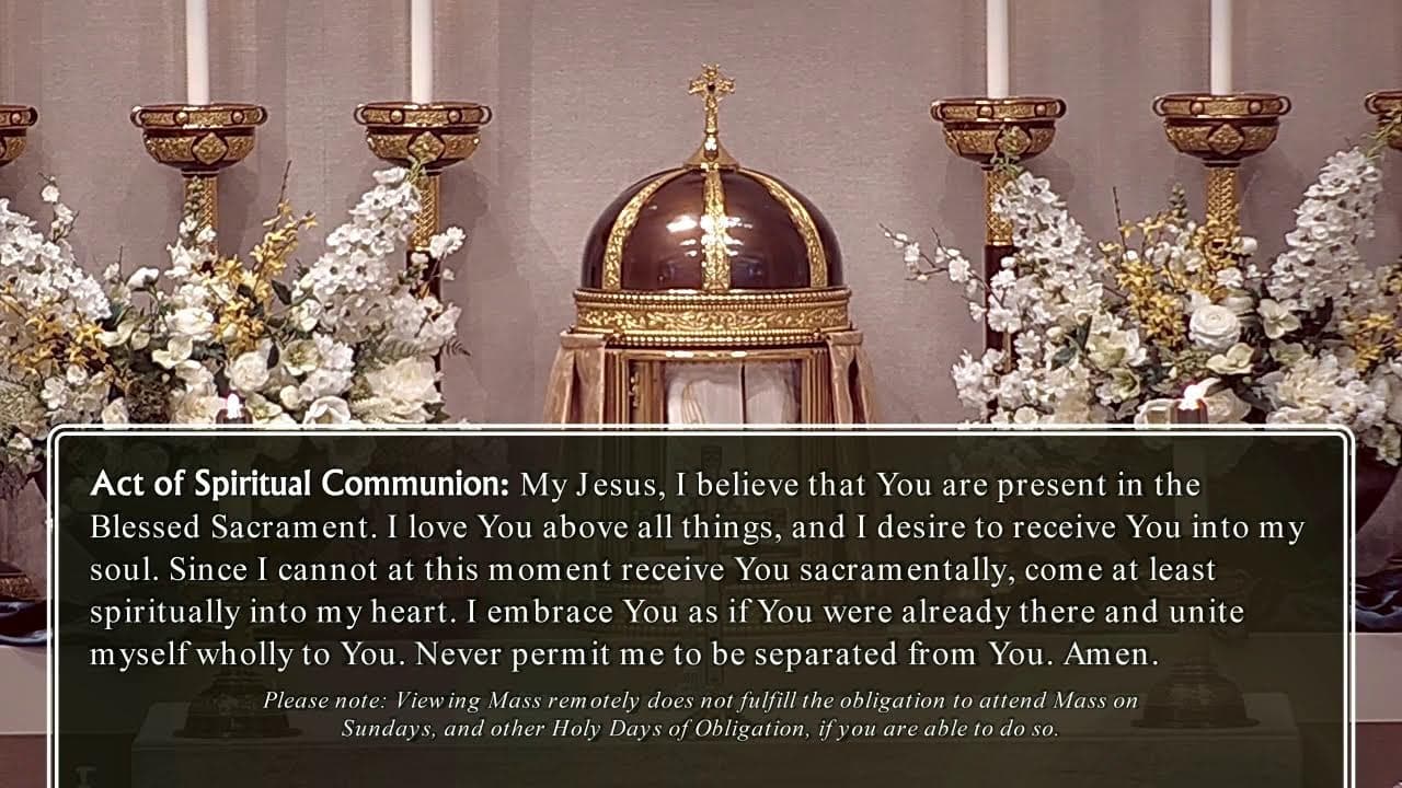 Thursday Mass: Thursday of the Fifth Week in Ordinary Time