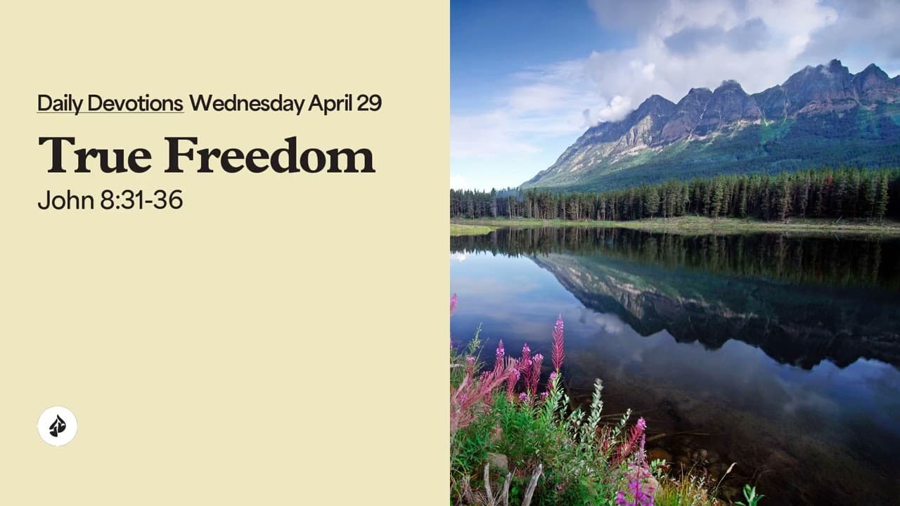 True Freedom – Daily Devotional