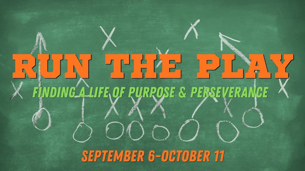 Run The Play Week 6