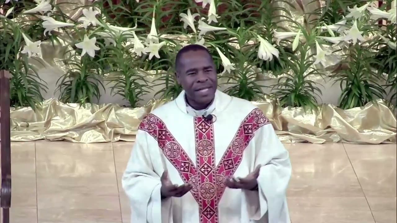 Sunday Homily - Third Sunday of Easter - April 19 2026