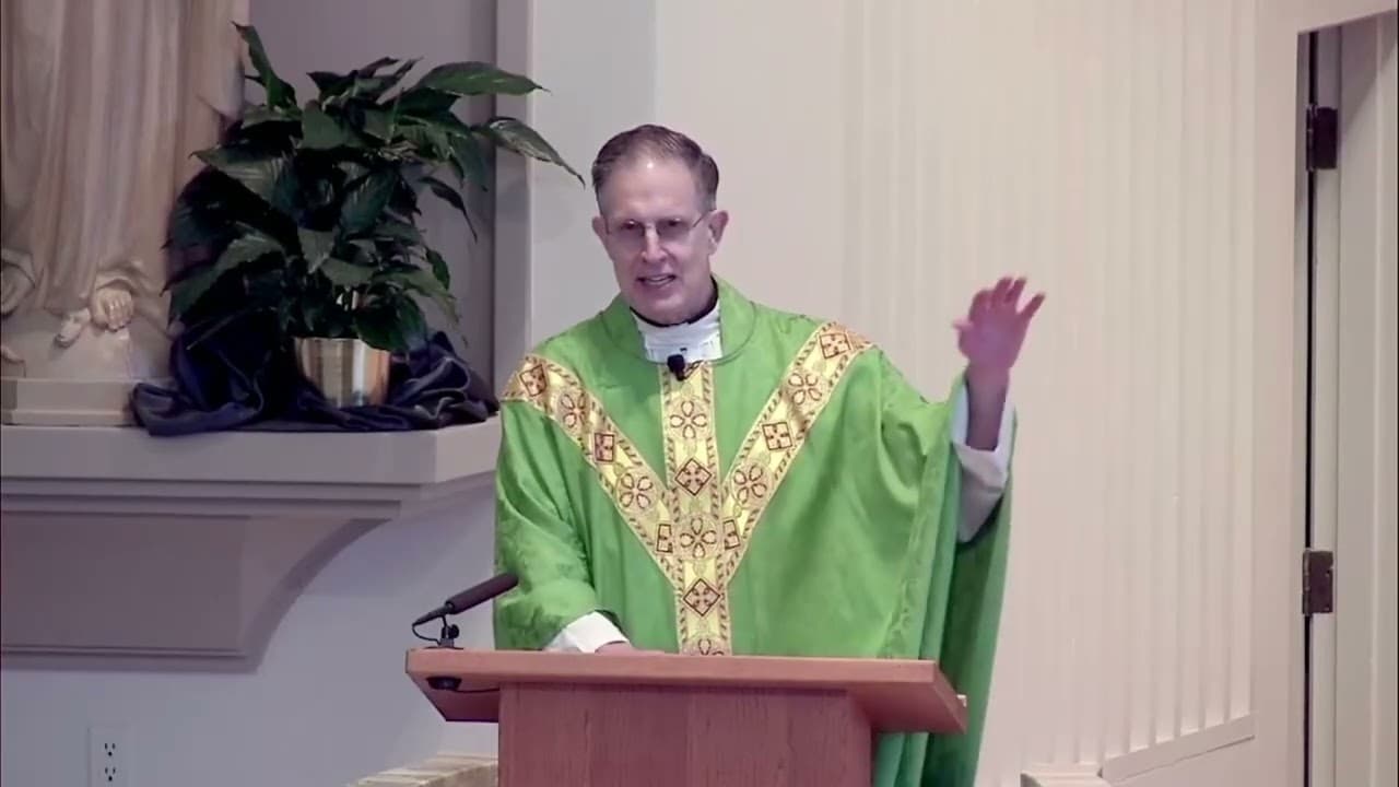 Sunday Homily - Eleventh Sunday in Ordinary Time - June 14 2026