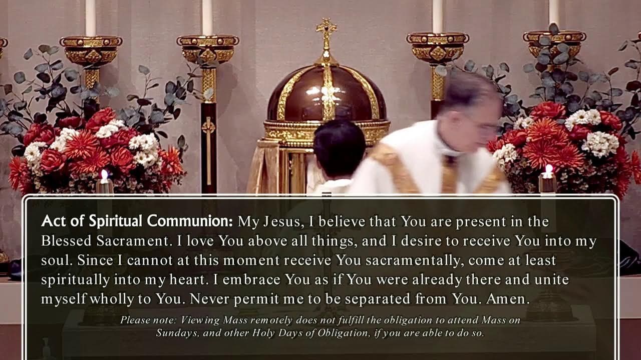 Thursday Mass: Memorial of Saint John Paul II