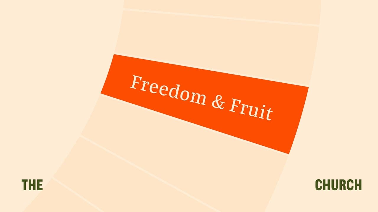 The Freedom You Were Made For