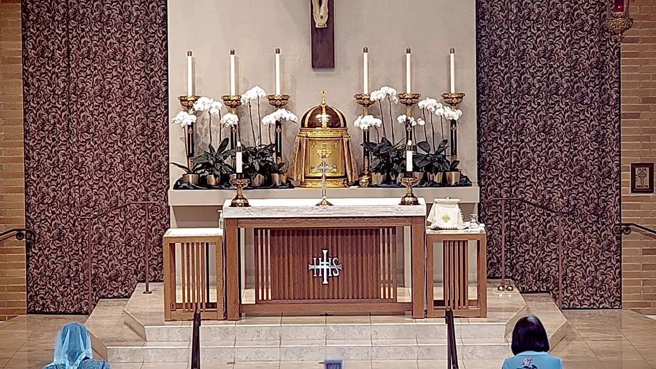 Wednesday Mass: Memorial of Saint Jane Frances de Chantal