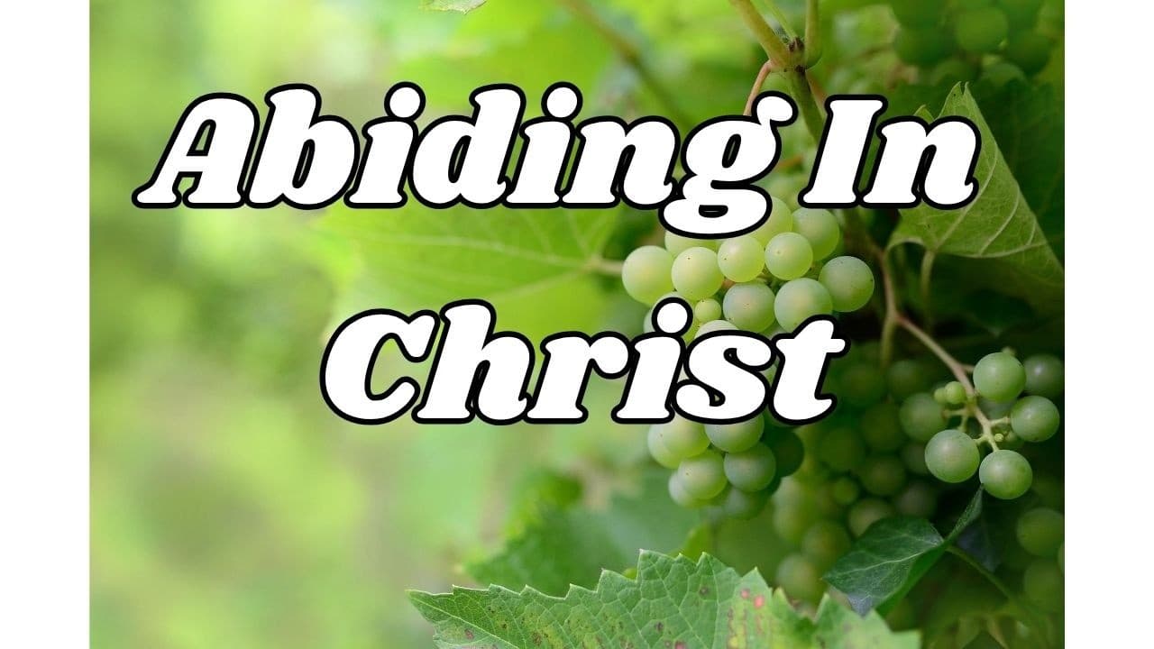 John 15:1-11   Abiding In Christ