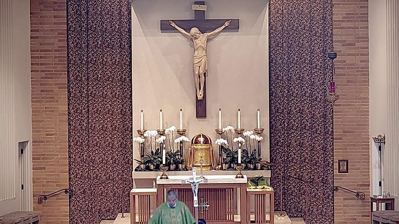 Sunday Mass: Seventeenth Sunday in Ordinary Time