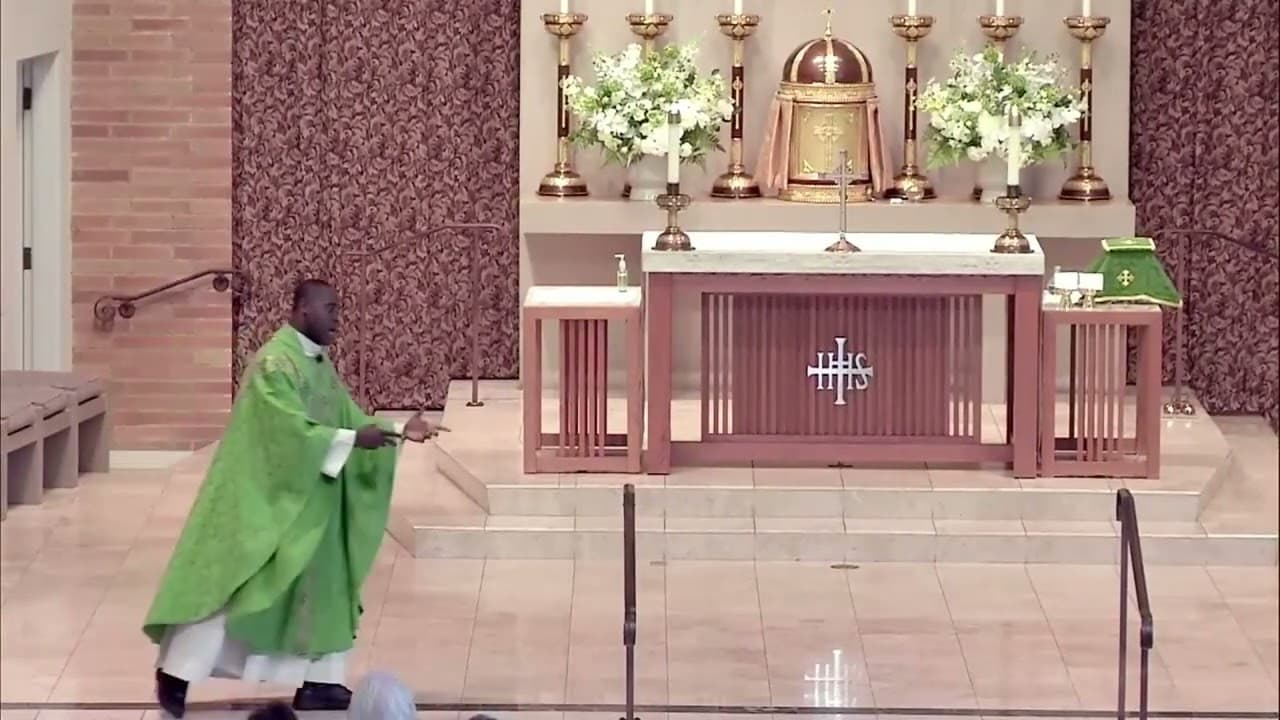 Sunday Homily - Twenty-second Sunday in Ordinary Time - August 30 2026