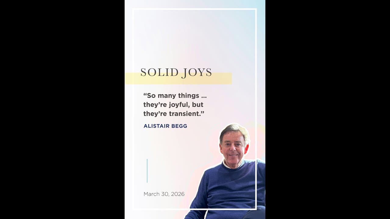 Solid Joys