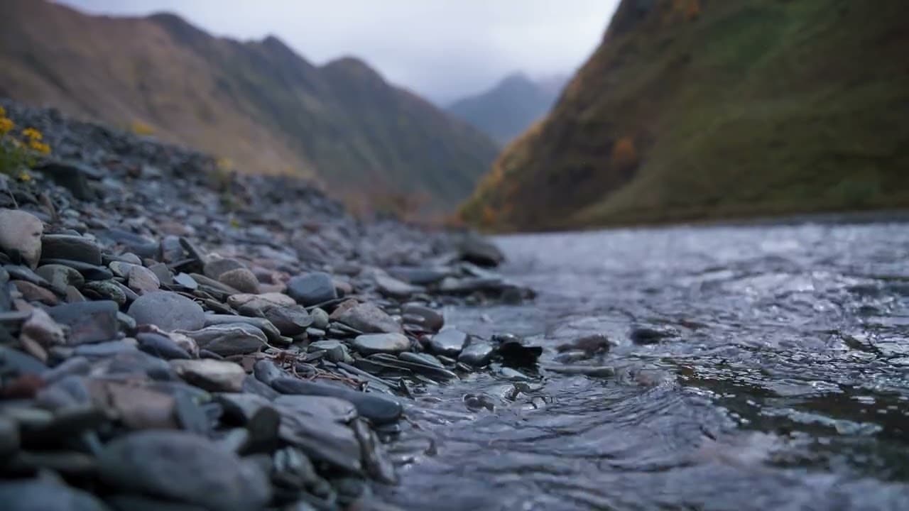 Meditation 16